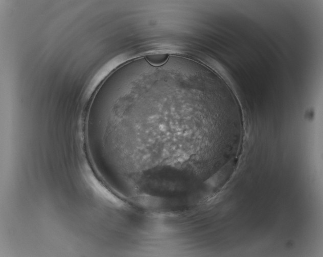 X0000113231243200909171531
