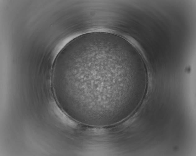 X0000113231244200909171531