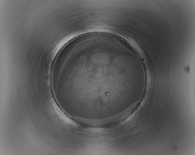 X0000113231246200909171531