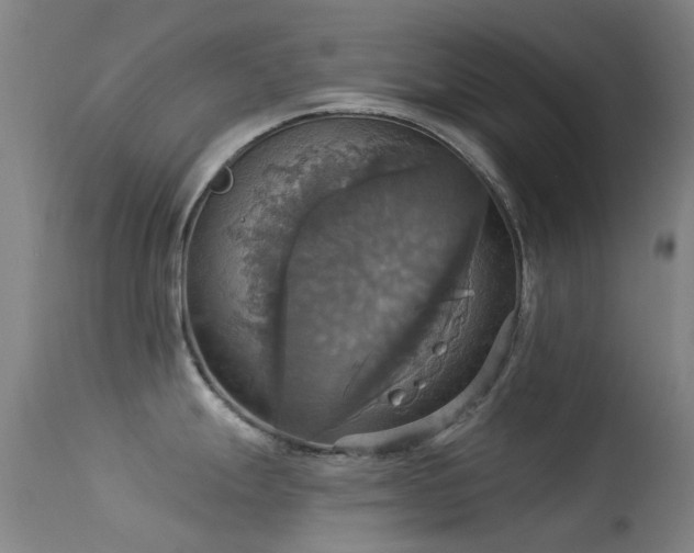 X0000113231247200909171531