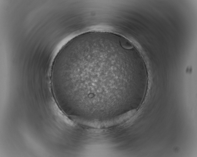 X0000113231248200909171531
