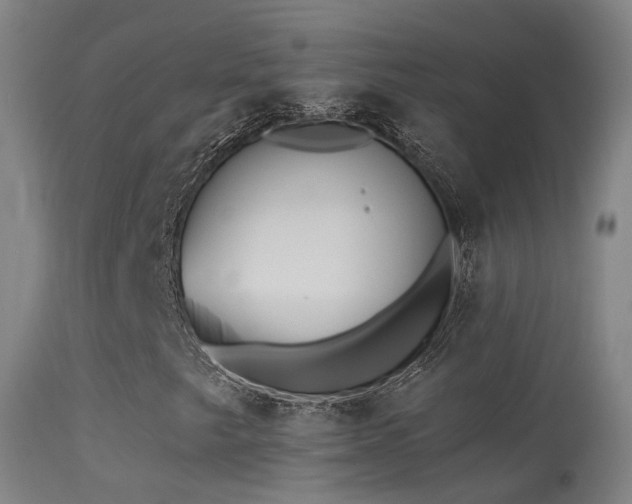 X0000113231249200909171531