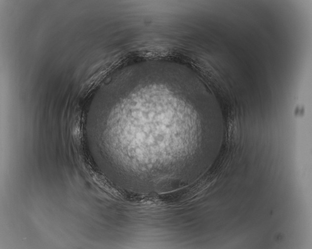 X0000113231250200909171531