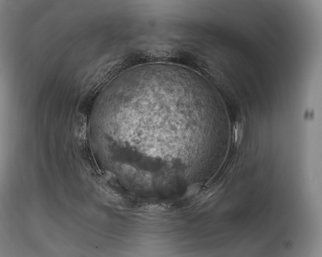 X0000113231251200909171531