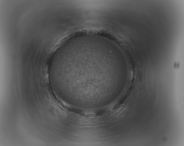 X0000113231252200909171531