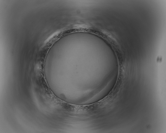 X0000113231254200909171531