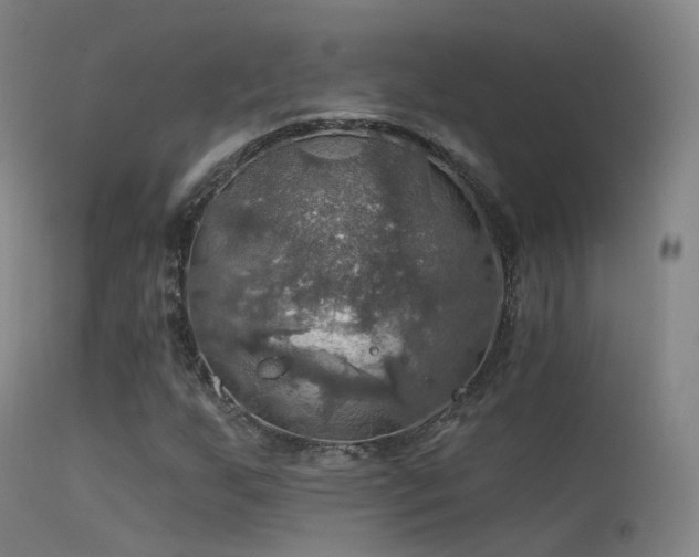 X0000113231255200909171531