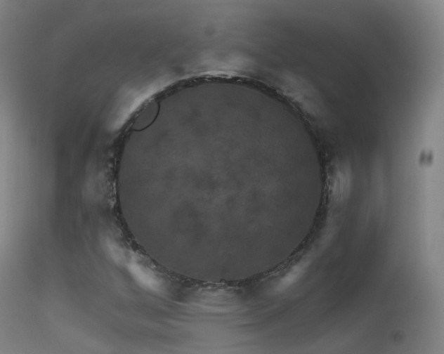 X0000113231256200909171531