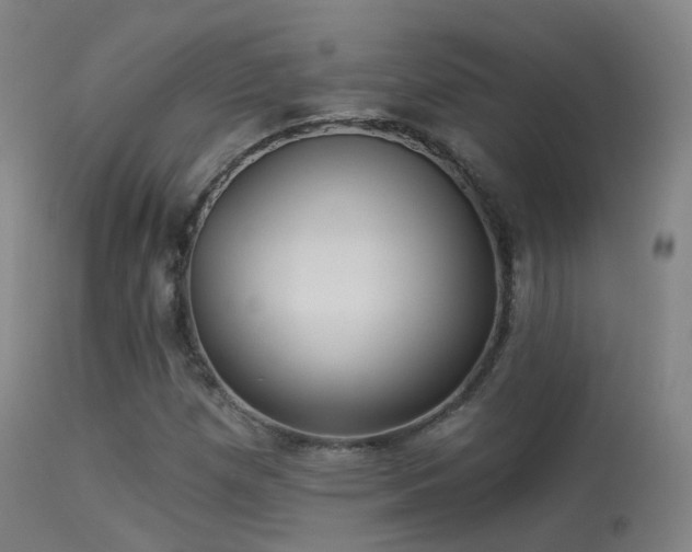 X0000113231257200909171531