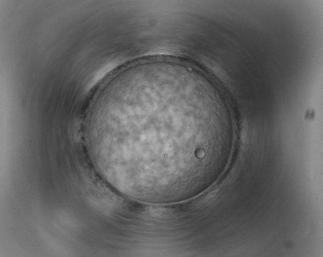 X0000113231258200909171531
