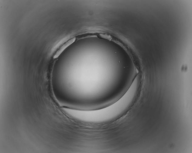 X0000113231261200909171530