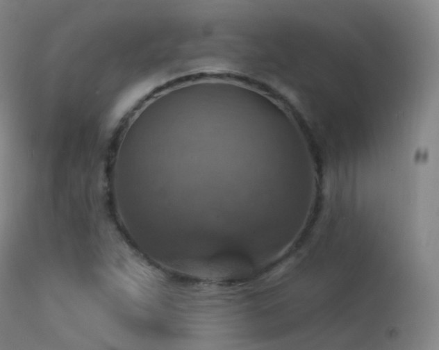 X0000113231263200909171530