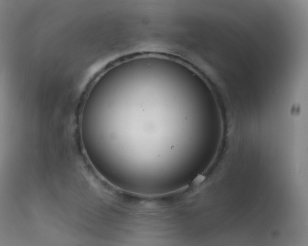 X0000113231264200909171530