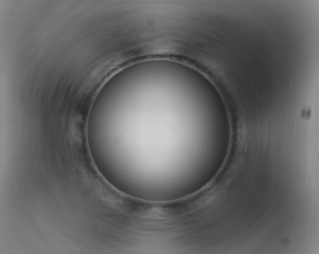 X0000113231265200909171530