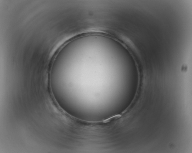 X0000113231268200909171530