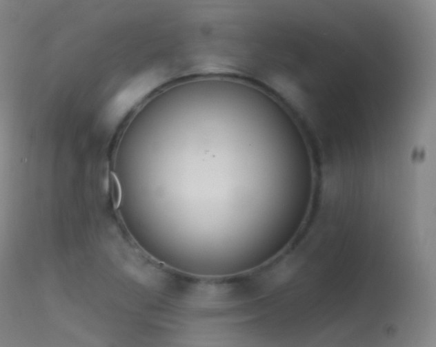 X0000113231269200909171530