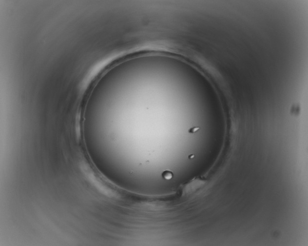 X0000113231272200909171530