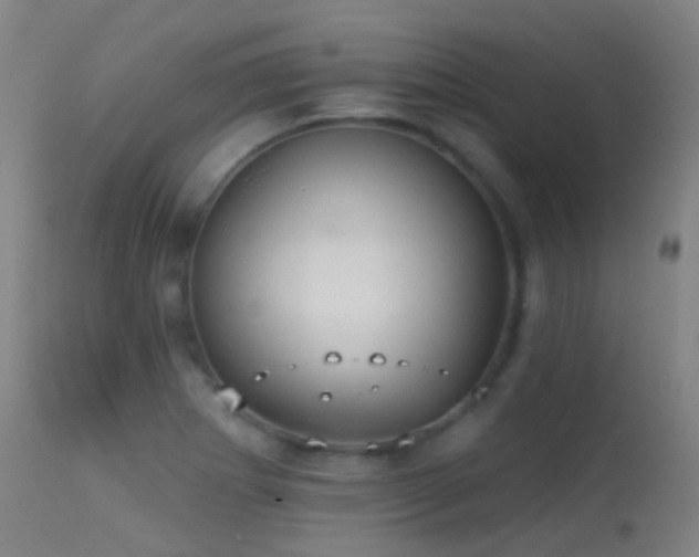 X0000113231273200909171530