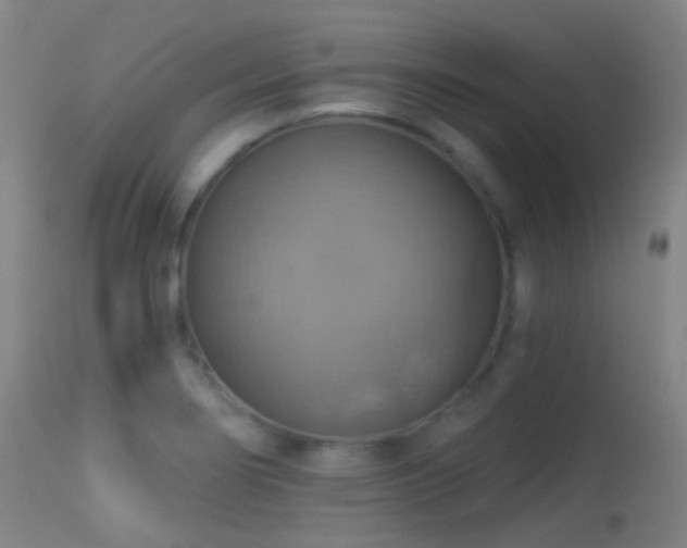 X0000113231274200909171530
