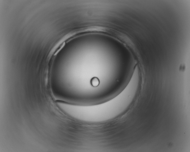 X0000113231276200909171530