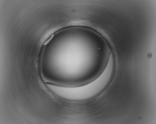 X0000113231277200909171530