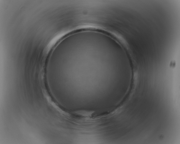 X0000113231279200909171530