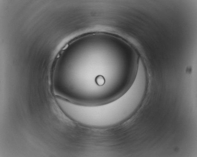 X0000113231280200909171530