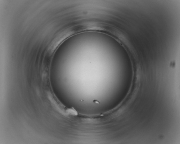 X0000113231281200909171530