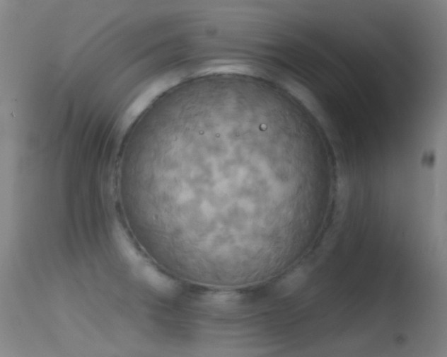 X0000113231282200909171530