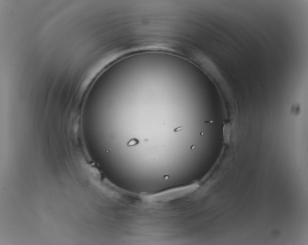 X0000113231284200909171530