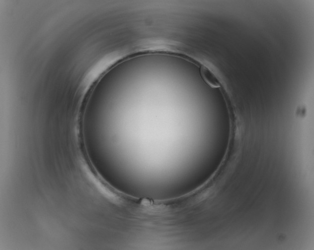 X0000113231285200909171530