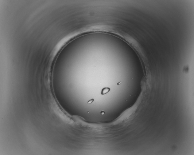 X0000113231288200909171530