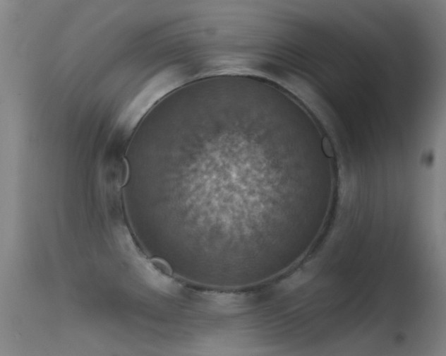 X0000113231289200909171530