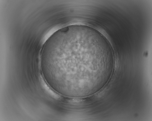 X0000113231290200909171530
