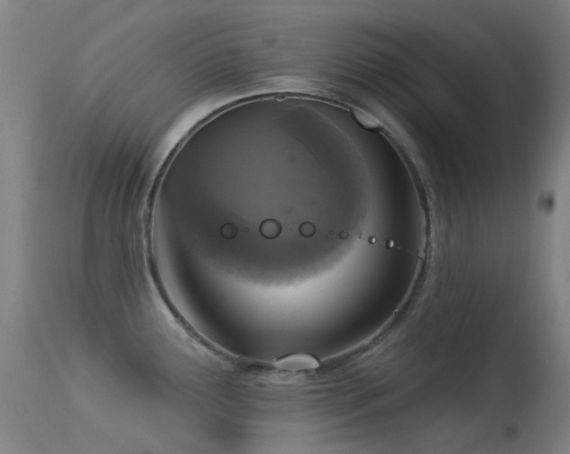 X0000113231291200909171530