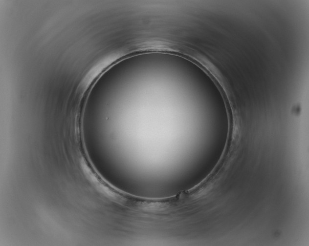 X0000113231293200909171530