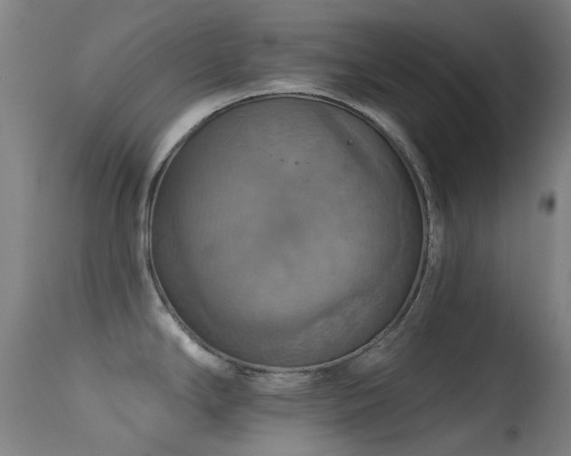 X0000113231294200909171530