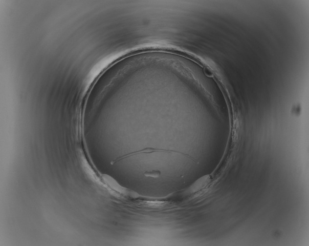 X0000113231295200909171530