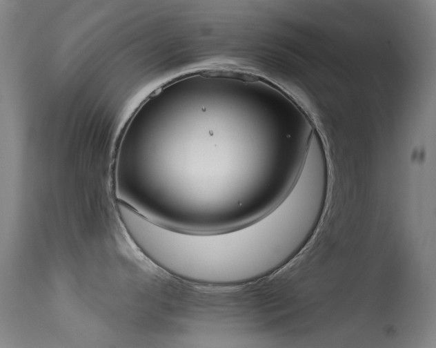 X0000113231296200909171530