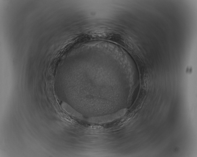 X0000113231297200909171529