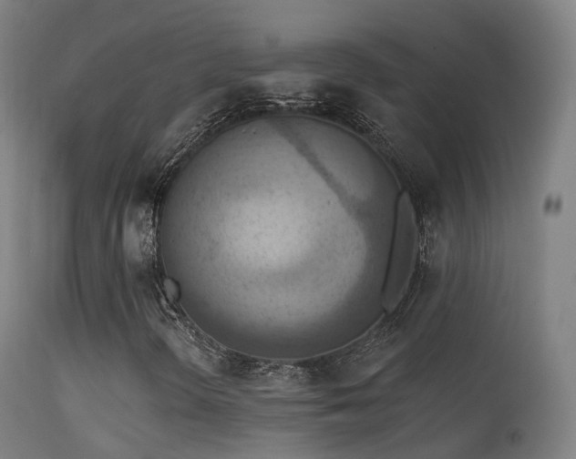 X0000113231298200909171529