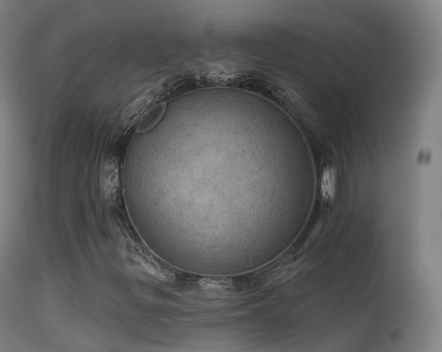X0000113231299200909171529
