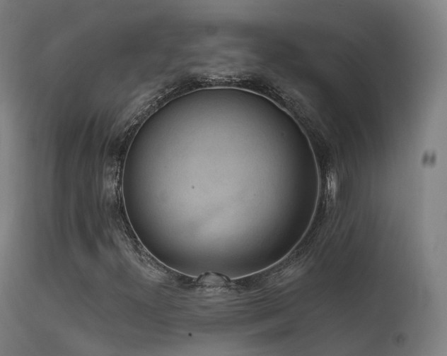 X0000113231300200909171529