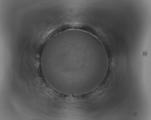 X0000113231301200909171529