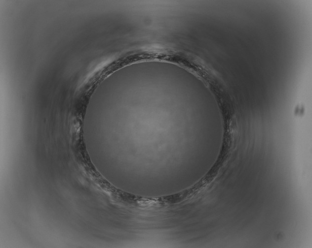 X0000113231302200909171529
