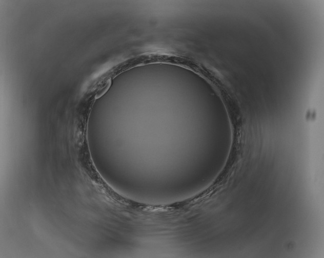 X0000113231303200909171529