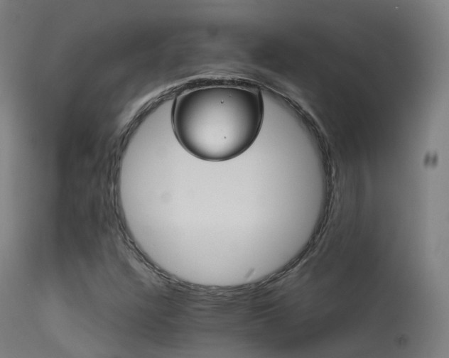 X0000113231304200909171529