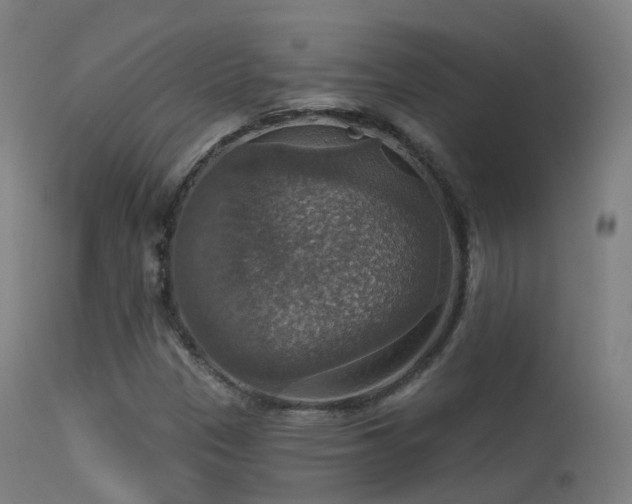 X0000113231305200909171529