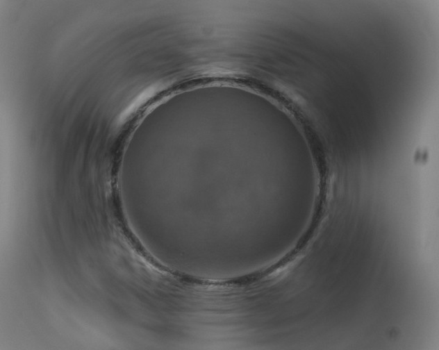 X0000113231306200909171529