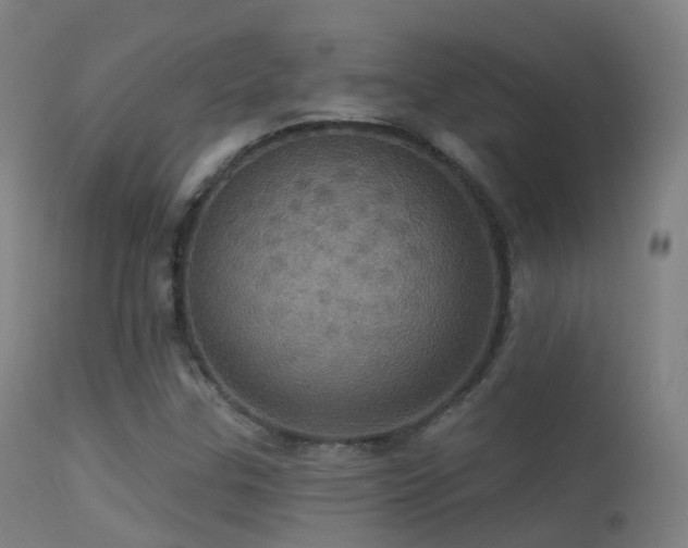 X0000113231307200909171529